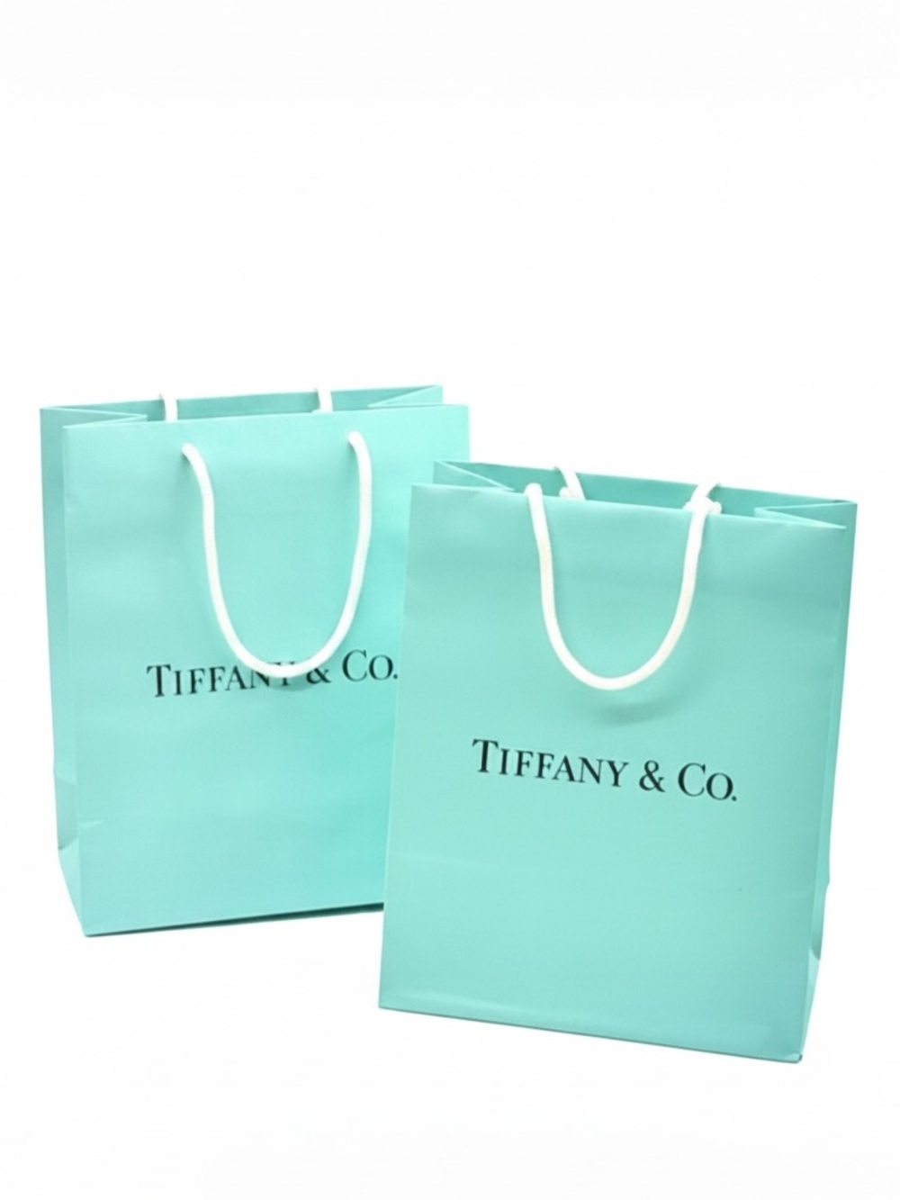 Tiffany & Co. Blue Paper Shopping Bag - Signature Aqua Gift Bag